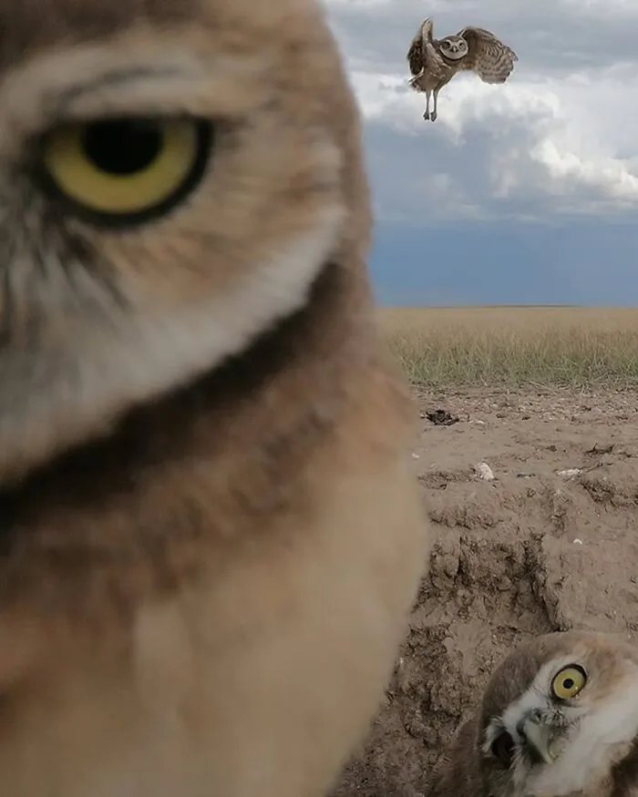 106 Times Nature Decided To Show Off And People Were Lucky Enough To Capture It
