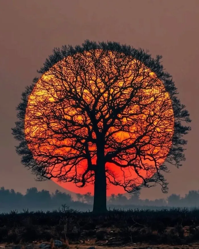 106 Times Nature Decided To Show Off And People Were Lucky Enough To Capture It