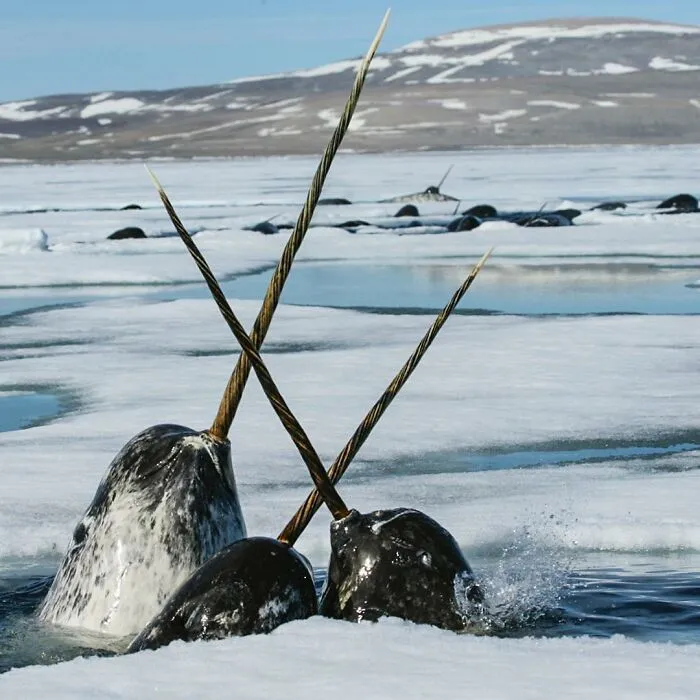 106 Times Nature Decided To Show Off And People Were Lucky Enough To Capture It