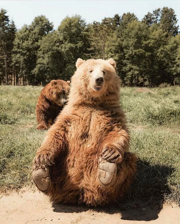 106 Times Nature Decided To Show Off And People Were Lucky Enough To Capture It