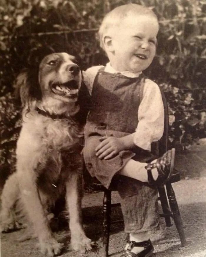 29 Historic Photos Shared By This Page Where Animals Unexpectedly Became The Stars Of The Shot