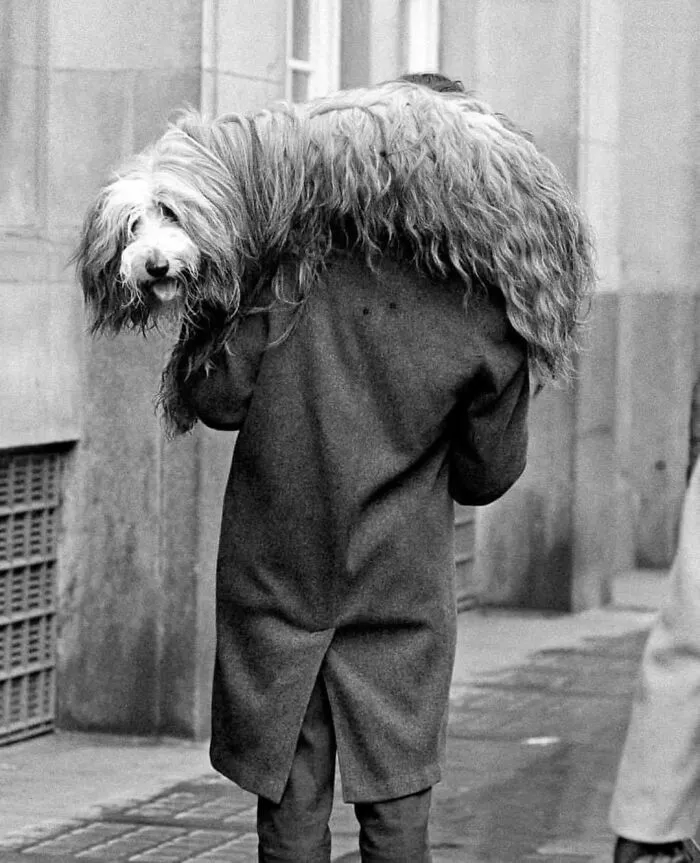 40 Street Photos That Prove You Never Know What’s Around The Corner