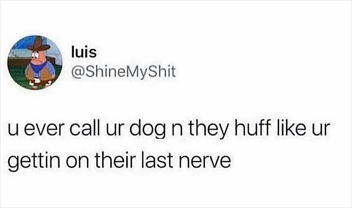 78 Memes For Anyone Who Stops Scrolling The Second An Animal Shows Up