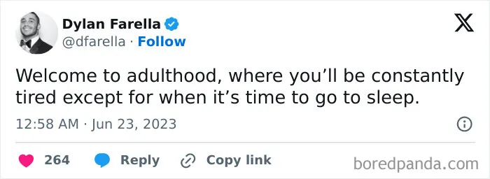 80 Funny Memes For Those Who Were Hit With Adulting A Little Too Hard