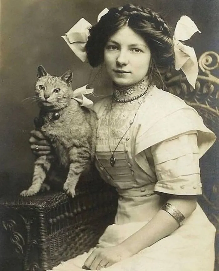 29 Historic Photos Shared By This Page Where Animals Unexpectedly Became The Stars Of The Shot