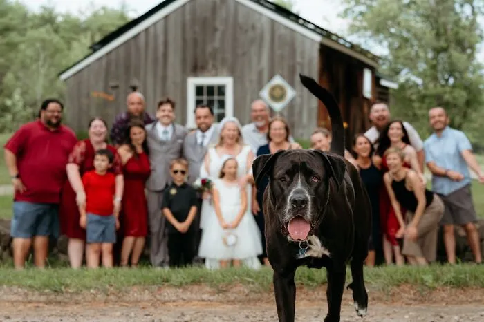 This Photobomb