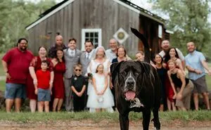 82 Hilarious Wedding Photos That Prove No Big Day Is Ever ‘Perfect’