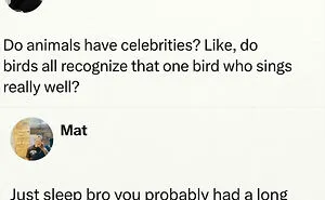75 Unexpectedly Funny Posts To Make An Ordinary Day A Bit More Entertaining