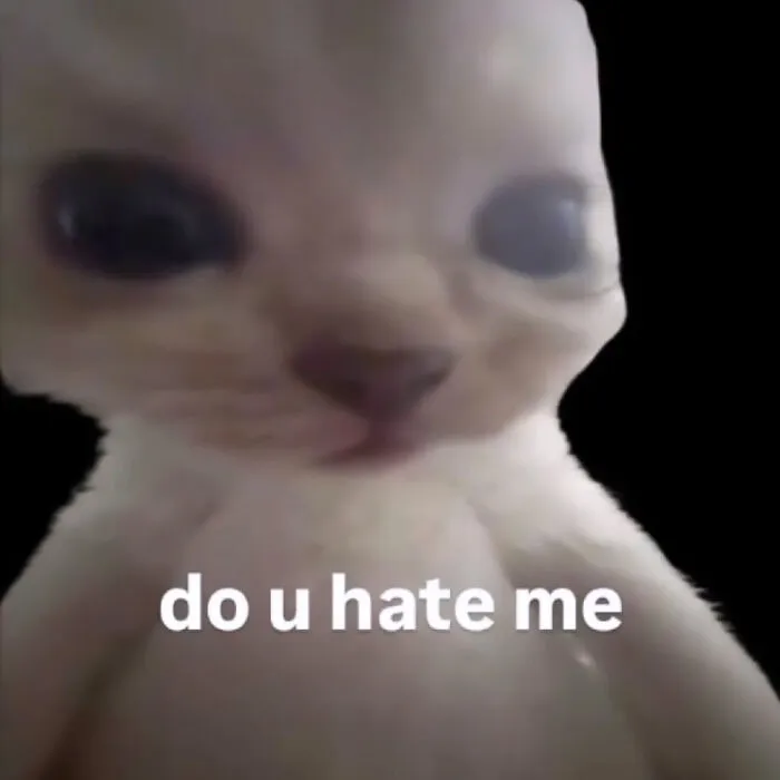 A white hairless Cat-Memes-From-Sweetcatclub with large eyes looking at the camera with text that says 'do u hate me'.