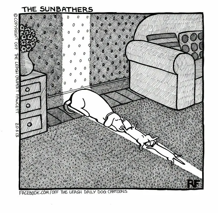 If You’re A Dog Owner, These 25 New “Off The Leash” Cartoons Might Totally Hit Home