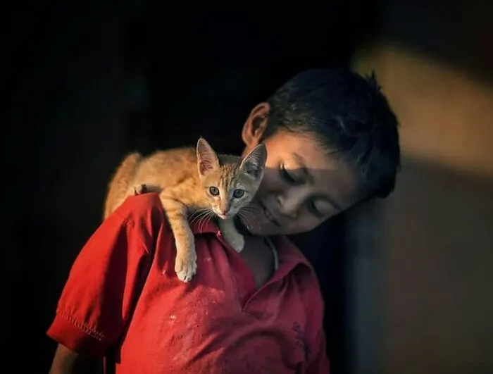 23 Street Cat Photos That Might Melt Your Heart By Guru Charan (New Pics)