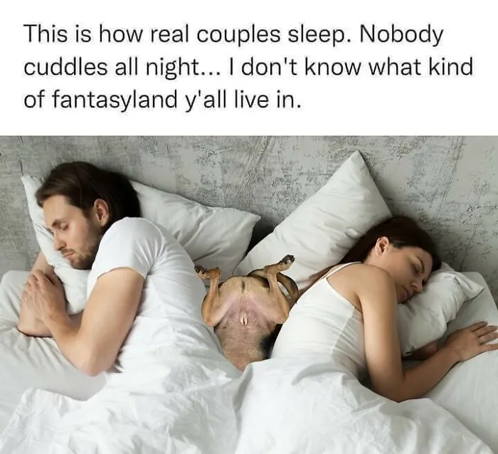 A Dog Toy Company Shares Memes About Its Favorite Customers, And They’re Too Accurate (35 Pics)