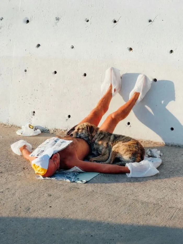 Photographer Captured 58 Ridiculously Well-Timed Street Shots That Couldn’t Have Been Planned