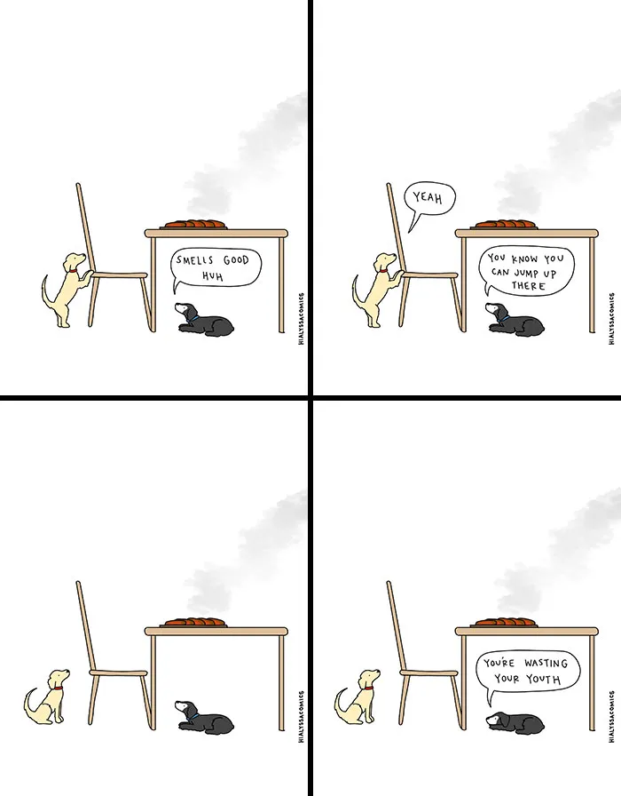 30 Comics That Show Just How Funny The Most Ordinary Parts Of Life Can Be