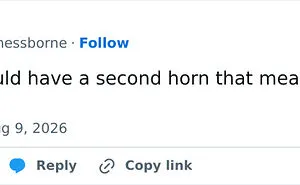 73 Hilarious Tweets That Make Us Feel Grateful For People Who Have A Sense Of Humor (August Edition)