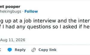 73 Hilarious Tweets That Make Us Feel Grateful For People Who Have A Sense Of Humor (August Edition)