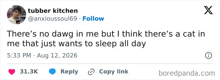 73 Hilarious Tweets That Make Us Feel Grateful For People Who Have A Sense Of Humor (August Edition)