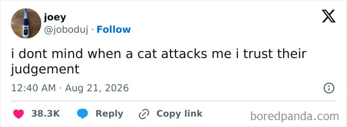 The Summer Is Ending But These 73 Funny Tweets Are Here To Keep Up The Good Mood (August Edition)