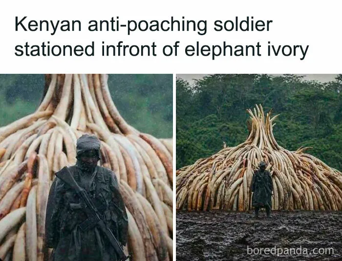 Protector Of Souls