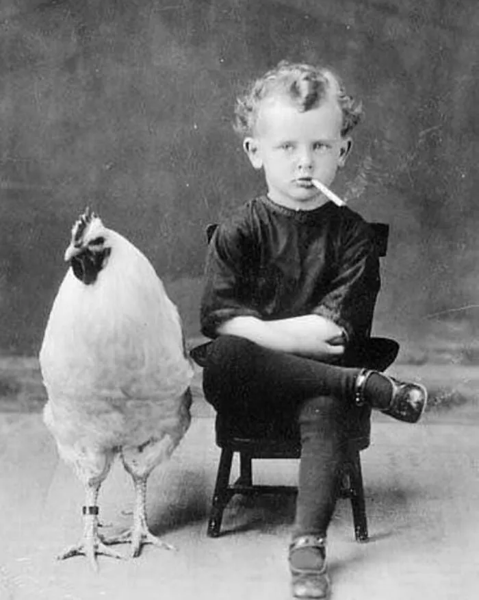 29 Historic Photos Shared By This Page Where Animals Unexpectedly Became The Stars Of The Shot