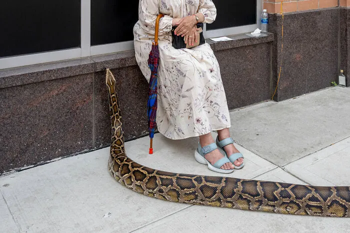 35 Fotos en el momento justo que triunfaron en los premios de fotografía callejera The Edge