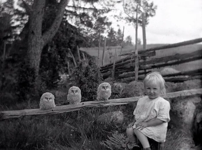 29 Historic Photos Shared By This Page Where Animals Unexpectedly Became The Stars Of The Shot