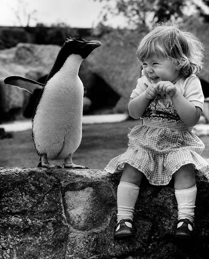 29 Historic Photos Shared By This Page Where Animals Unexpectedly Became The Stars Of The Shot
