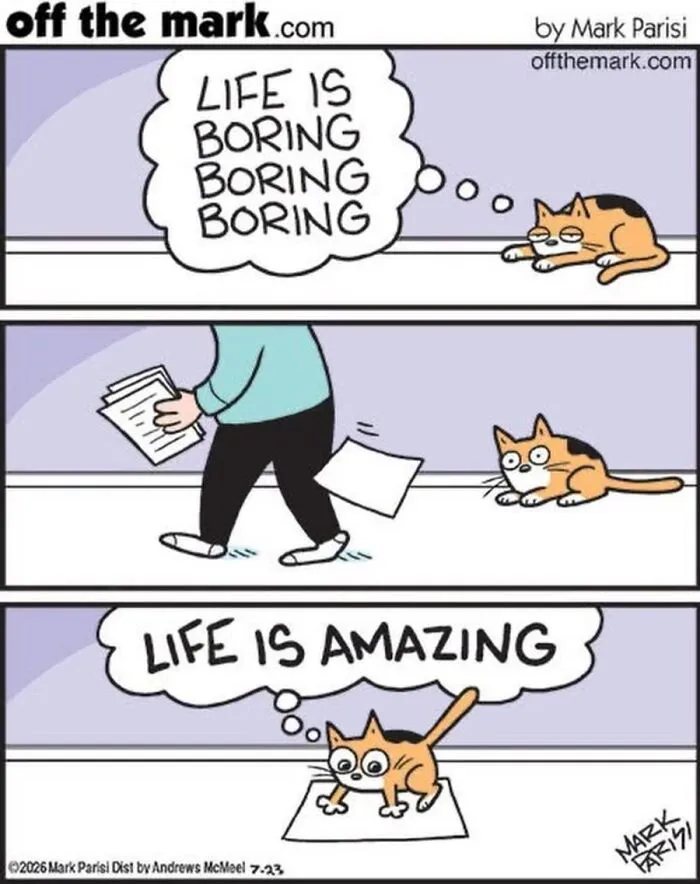 36 New Comics That Capture The Odd Little Habits Every Cat Owner Knows