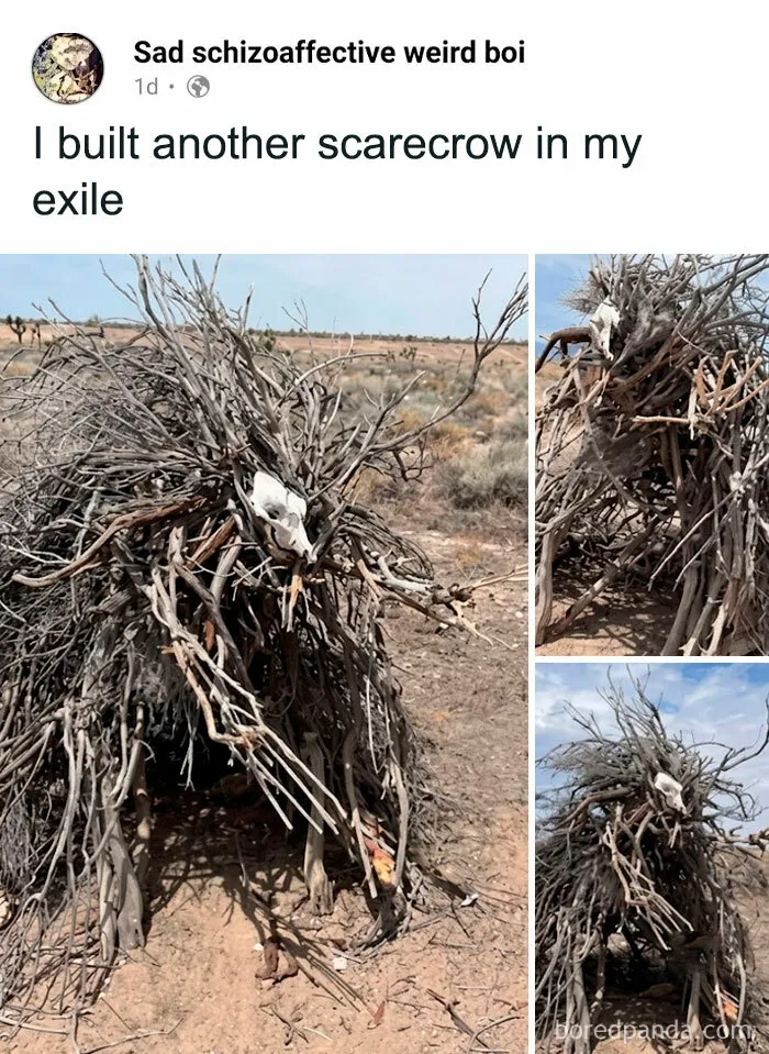 The Windiscrow: Protector Of The Exiled One