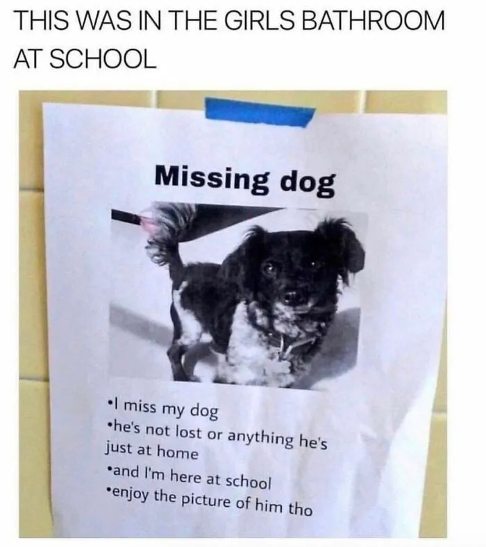 A Dog Toy Company Shares Memes About Its Favorite Customers, And They’re Too Accurate (35 Pics)