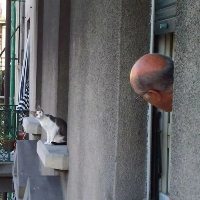 33 Hilarious Examples Of Perfect Timing Creating Unexpected And Chaotic Photos, As Shared By This Page