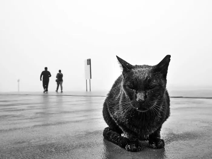 32 Stunning Photographs By This Artist That Turn Fleeting Moments Into Visual Stories