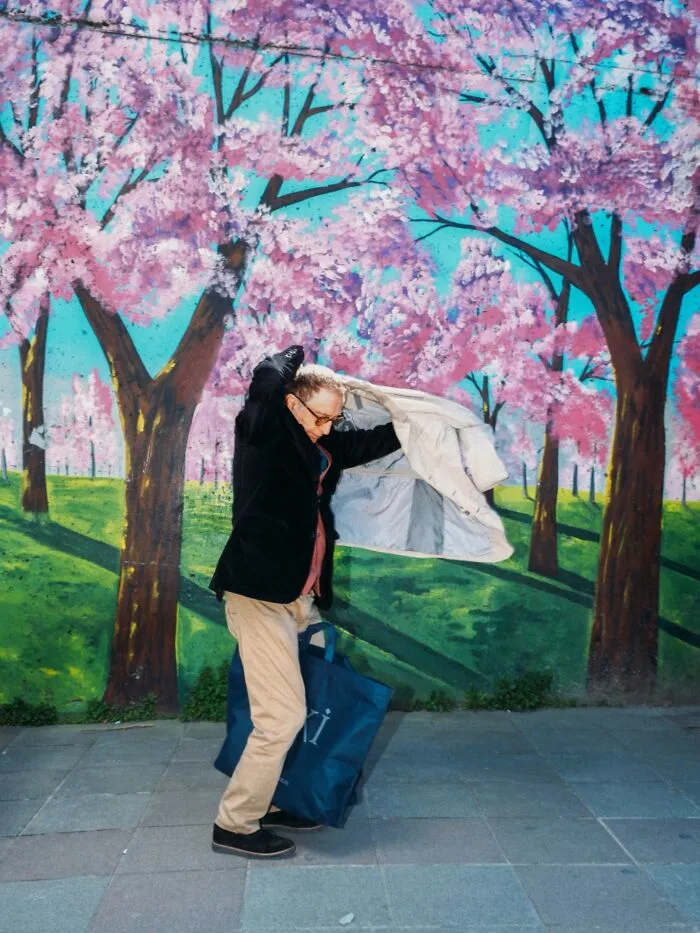 A man struggling with his jacket against a vibrant cherry blossom mural, capturing a well-timed street shot.
