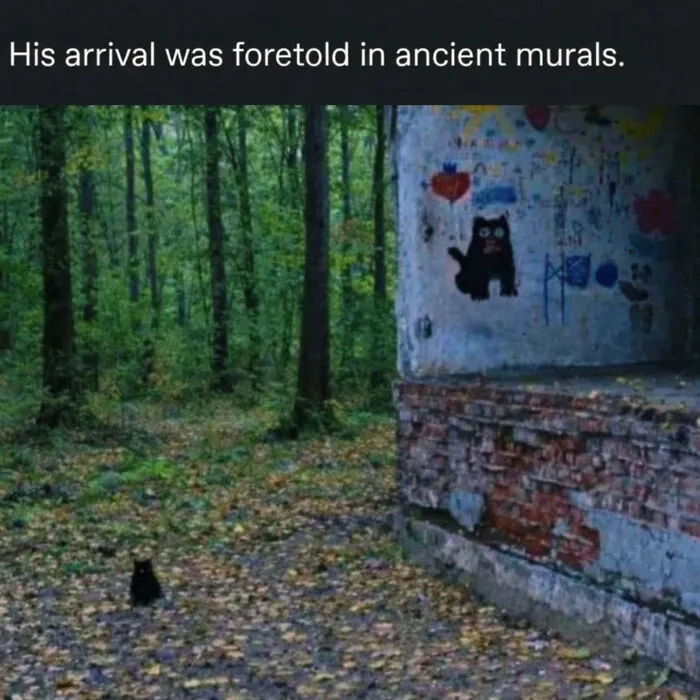 Cat Memes That Might Just Make Sense To Every Animal Lover (74 Pictures)