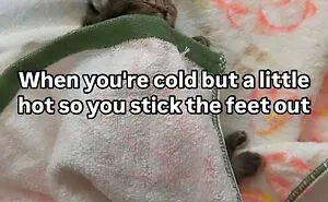 Cat Memes That Might Just Make Sense To Every Animal Lover (74 Pictures)