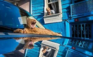 47 Perfectly Timed Photos That Won The Edge Street Photography Awards