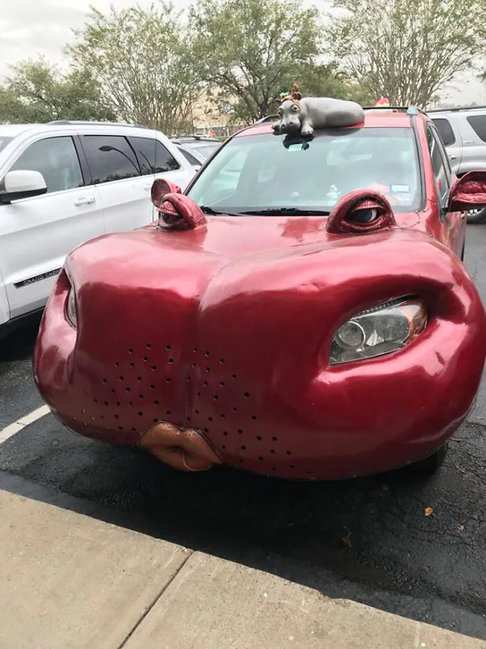 Long Time Lurker, Then I Saw This And Just Had To Share
