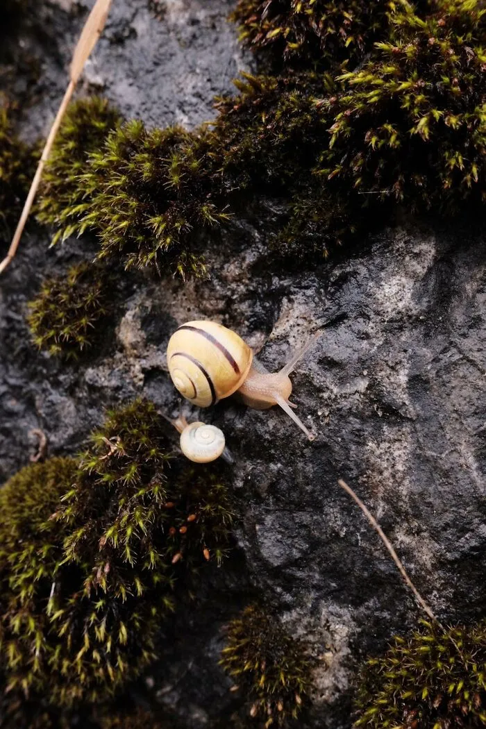 51 Times Nature Delivered The Most Wholesome Moments Ever Photographed
