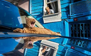 47 Perfectly Timed Photos That Won The Edge Street Photography Awards