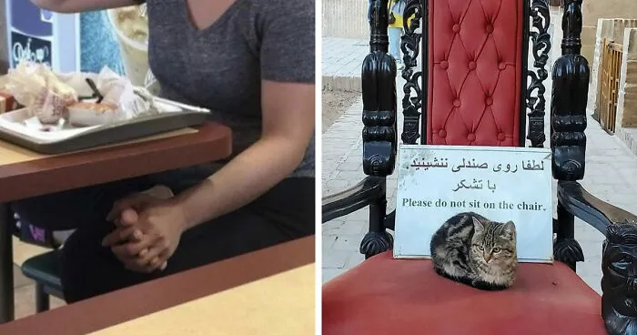 81 Random And Unhinged Images That Are Cursed And That’s The Only Explanation You Need (New Pics)