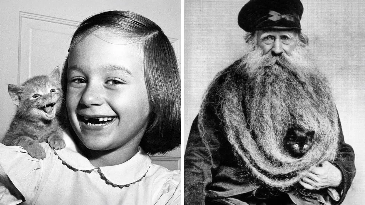 29 Historic Photos Shared By This Page Where Animals Unexpectedly Became The Stars Of The Shot