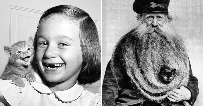 29 Historic Photos Shared By This Page Where Animals Unexpectedly Became The Stars Of The Shot