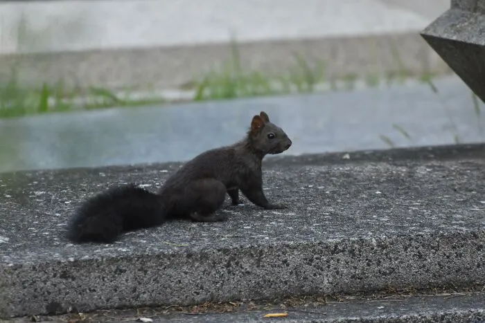 51 Times Nature Delivered The Most Wholesome Moments Ever Photographed