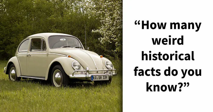 Only A History Buff Can Score 15/15 On This Weird Facts Quiz - Test Yourself