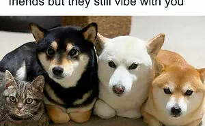 102 Wholesome Moments That Might Restore A Little Faith In Humanity