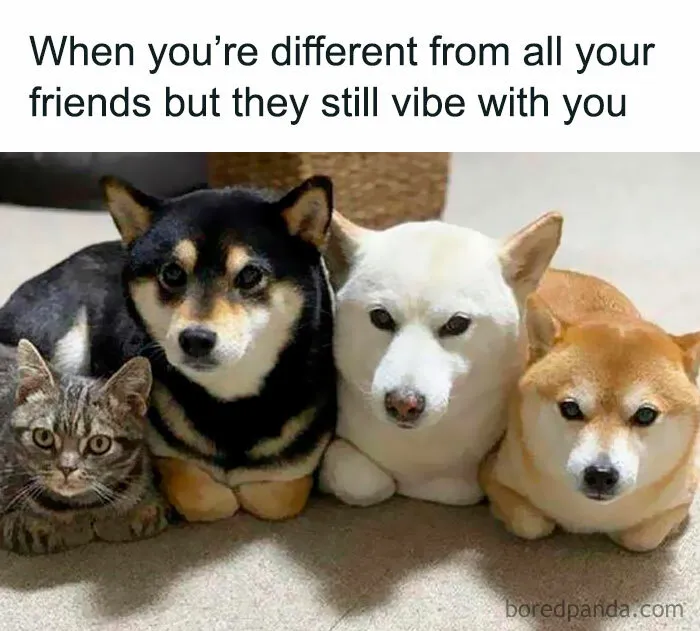102 Wholesome Moments That Might Restore A Little Faith In Humanity