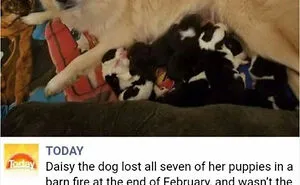 102 Wholesome Moments That Might Restore A Little Faith In Humanity
