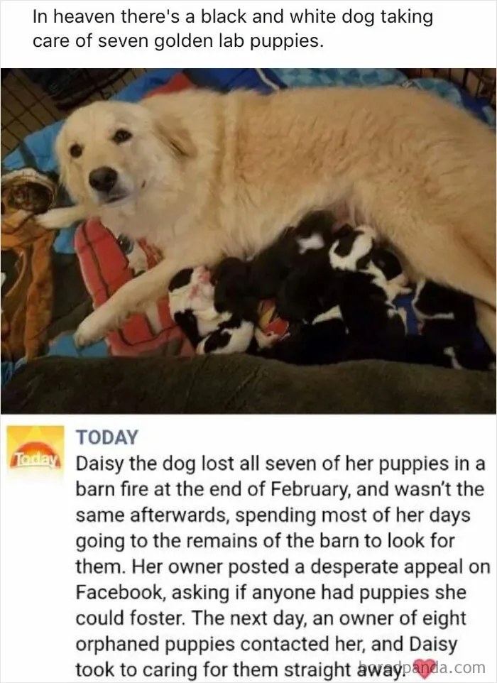 The Sweetest Kind
