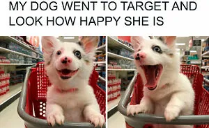 102 Wholesome Moments That Might Restore A Little Faith In Humanity
