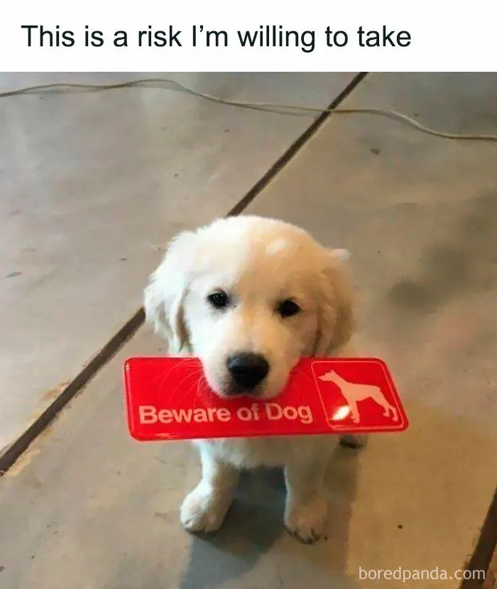 Sure Will 